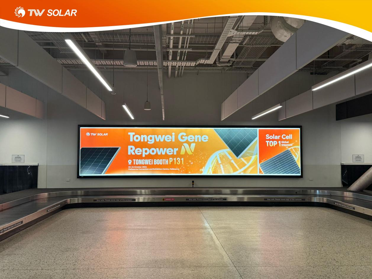 0a8789d056a3ee29e69654b643524907.png 0a8789d056a3ee29e69654b643524907.png