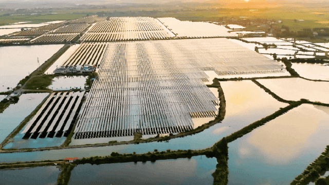 dcbe33e5178fcb3de0bb7608f63f55bd.gif dcbe33e5178fcb3de0bb7608f63f55bd.gif